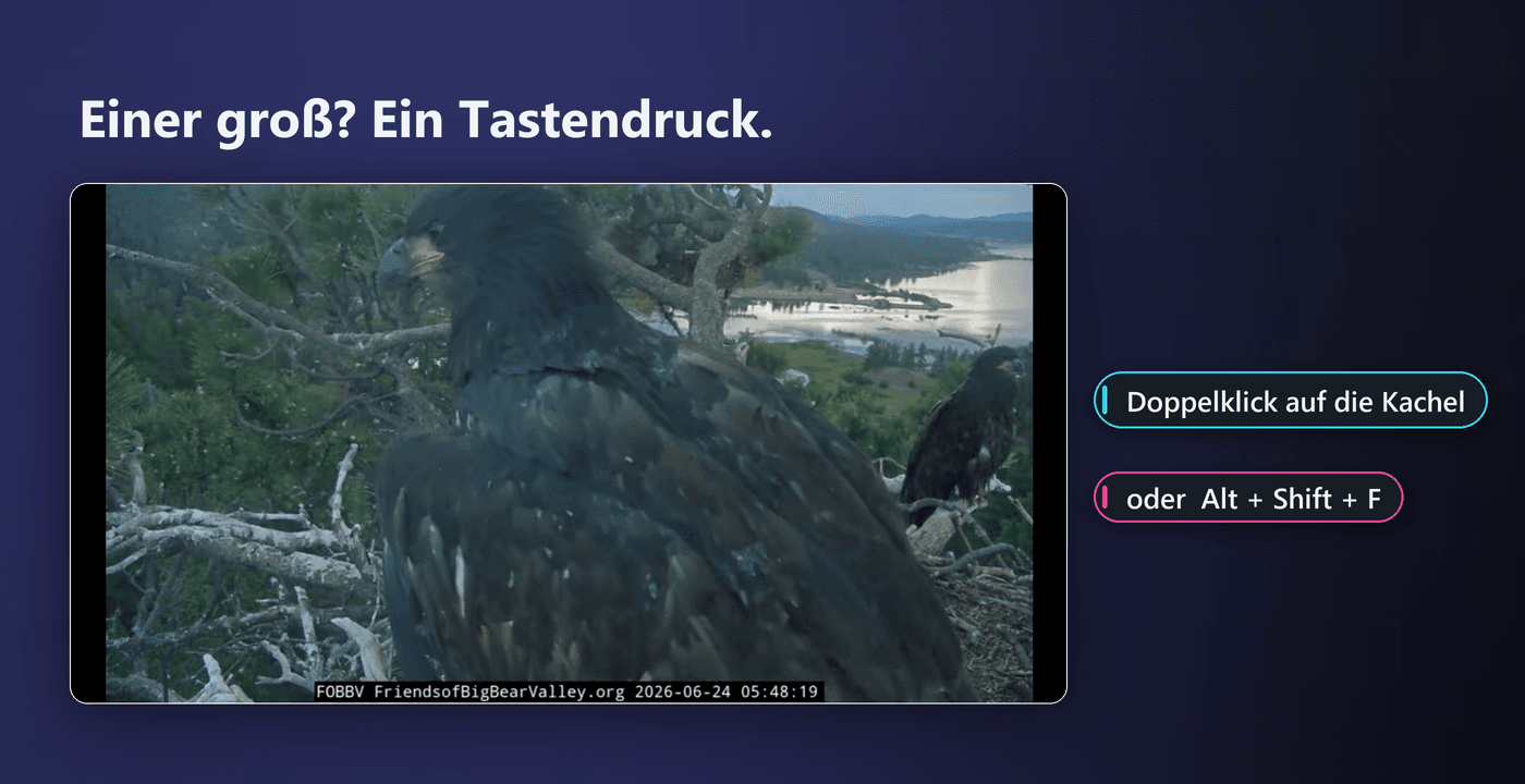 Modus Nur Video blendet die Seiten-UI und den Chat aus, sodass nur das Videobild bleibt.