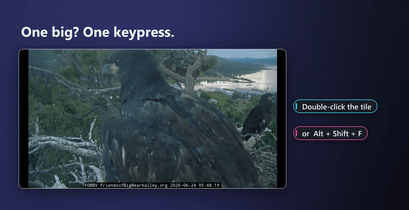 A video-only mode hides the page UI and chat so only the video picture remains.