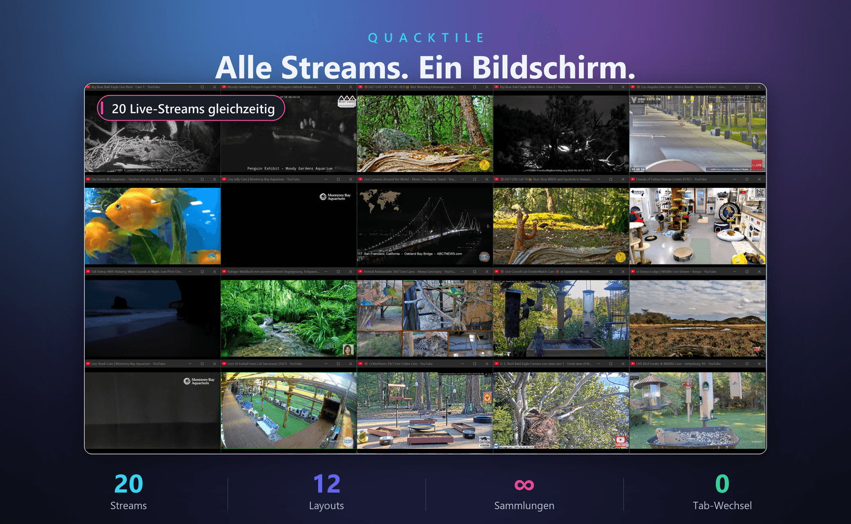 QuackTile ordnet mehrere Video-Tabs als randlose Fenster nebeneinander auf dem Bildschirm an.