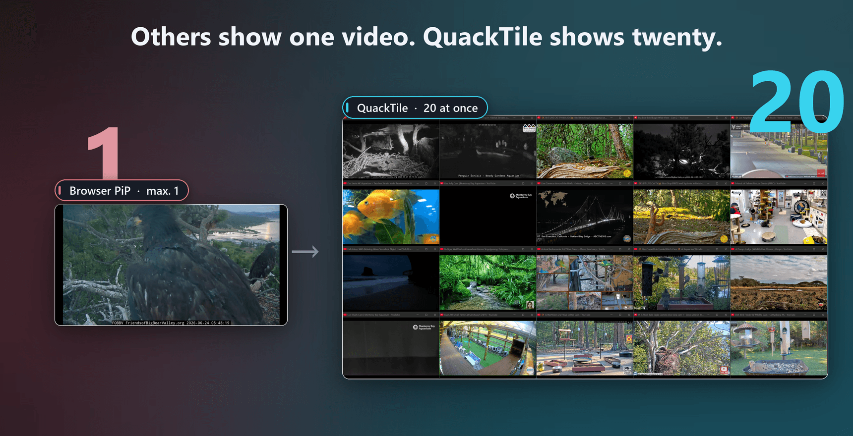 Comparison: Chromium allows only one picture-in-picture window, QuackTile shows several real windows side by side.