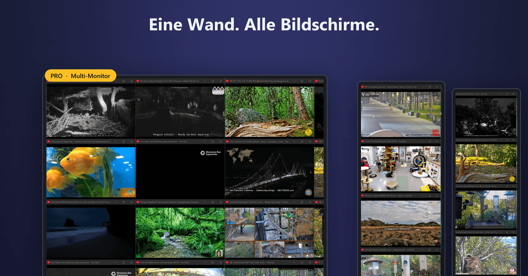 Zwei nebeneinander stehende Monitore, auf die QuackTile die laufenden Video-Kacheln gleichmäßig verteilt.