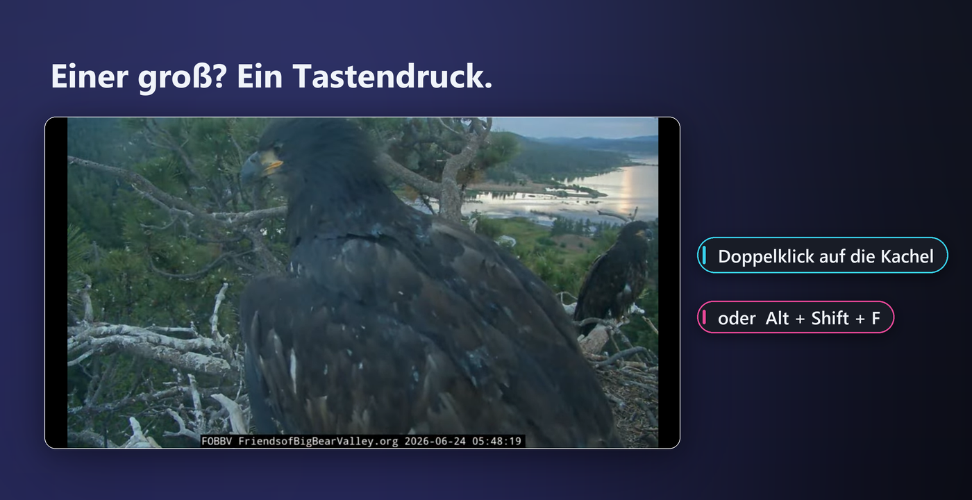 Modus Nur Video blendet die Seiten-UI und den Chat aus, sodass nur das Videobild bleibt.