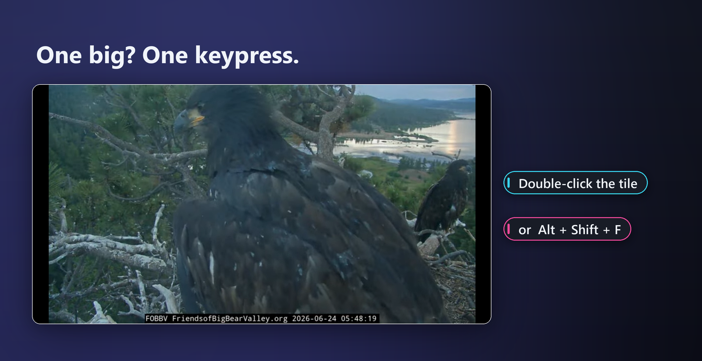 A video-only mode hides the page UI and chat so only the video picture remains.