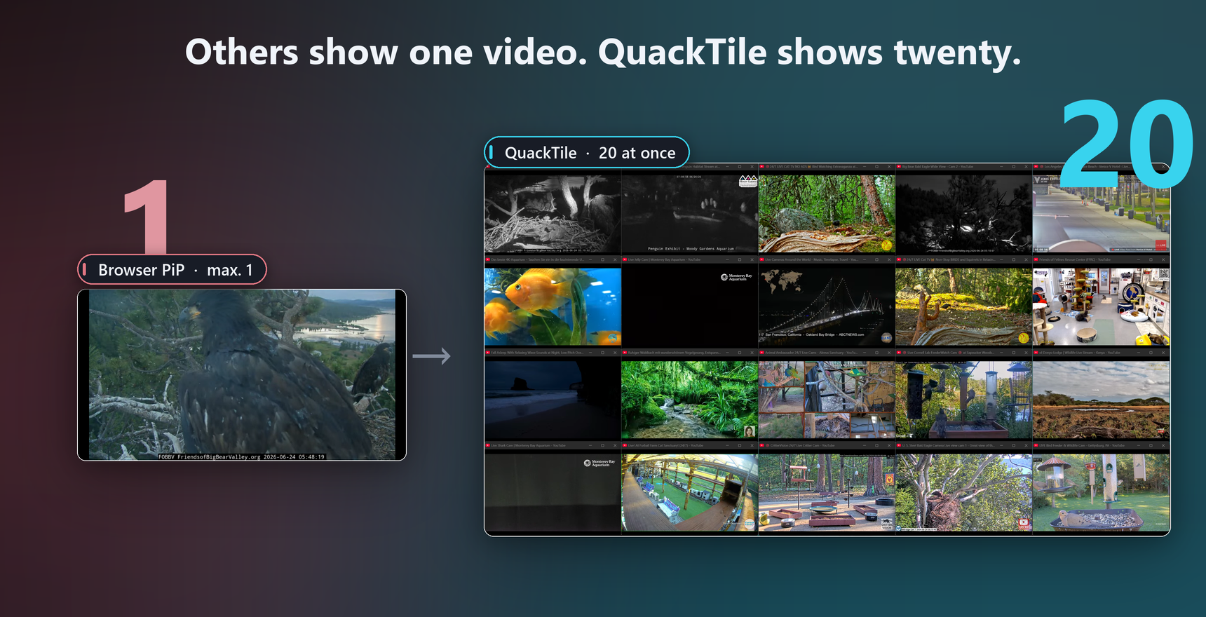 Comparison: Chromium allows only one picture-in-picture window, QuackTile shows several real windows side by side.